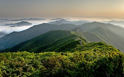 영남알프스의 여름 - 가지산