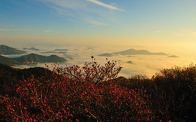 천주산의 봄 - 천주산