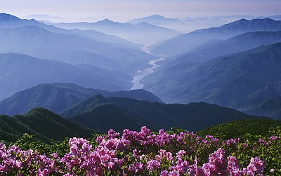 조영도-전시