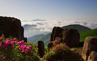 입석대의봄-무등산