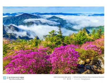 자연이 선사한 찬란한 평화