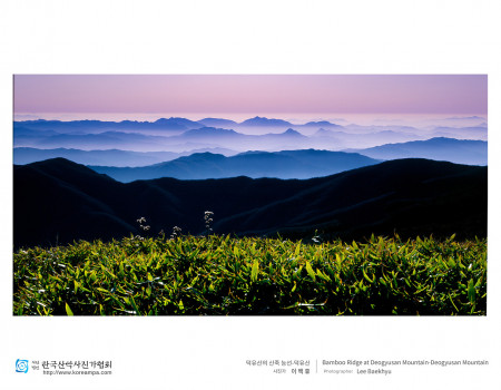 덕유산의 산죽 능선