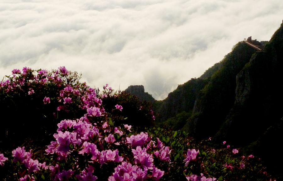 하늘로 오르는 사다리..
지리 허공달골에서 바라 보는 이미지와 너무 흡사 했습니다.
아름다운 영혼은  저런 사다리로 하늘로 오르겠지요?