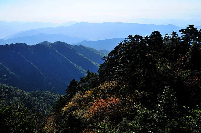 중봉 진달래가 만개했다는 정보를 듣고 능파와 진달래.. 
대운해와 진달래.그런 그림을 머리속에 그리고 올랐지만
깨끗한 일출만 있었다.

정상엔 얼음이 얼었다.
최저 기온이 6도이상 떨어져 
운해가 들어 올 것이라 기대했지만  운해는 없었다.
뿐더러  내린 비로 진달래는 모두  떨어지고 없었다.

약간의 고산  경험이 있는 사람이라면  포인트의 진달래 나무를
비닐로 덮어 준다면  비 바람을 견딜 수 있는데.. 
내가 조금만 일찍 올랐어도  
중봉의 진달래 촬영을 할 수 있었을 것을 아쉬 웠다..

중봉 진달래철에 
벌써 4년을  올랐지만 만족 할 만한 그림이 없다..


..제석봉의 철쭉은 이제 꽃 망울을 맺기 시작하고 있었습니다
6월 첫째주는 제석에서  뵙기를 바람니다.




