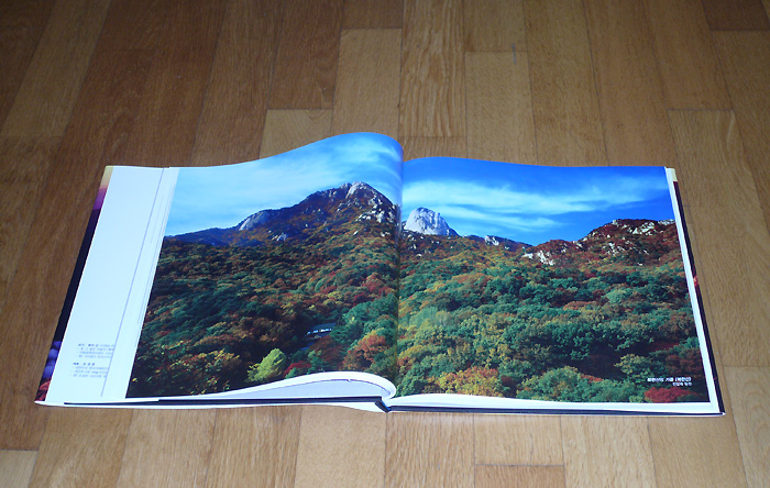 (두쪽에 걸쳐서 풀사이즈로 인쇄된 작품 - 이미지의 포맷이 두쪽의 풀사이즈에 맞는 작품은 간혹 풀사이즈로 배치하여 디자인의 단조로움을 극복하려 했다.)