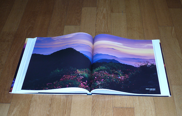 (화려한 색감의 작품이면서 트리밍없이도 풀프레임 배치가 가능한 작품은 최대한 큰 지면을 활영하는 배치도 시도하였다.)