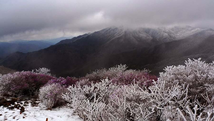열려라 참깨..

안열림니다... 