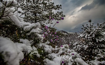 월악에서 춘설을 만나다