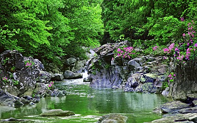 추억의지리신   96