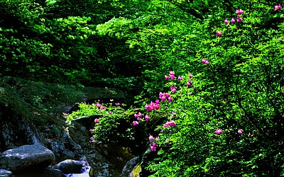 추억늬지리산  80