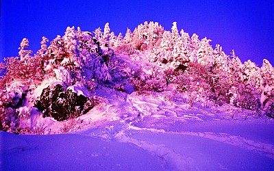 추억의지리산 104  박환윤
