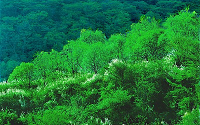 추억의지리산   박환윤    101