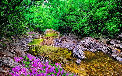 추억의지리산   54