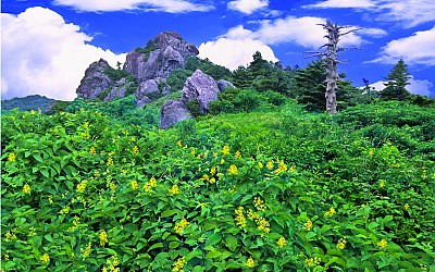 추억의 지리산  94