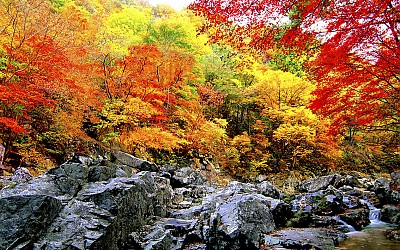 추억의지리산  115  박환윤