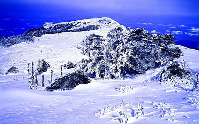 한라산 10