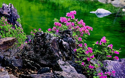 추억의지리산   98