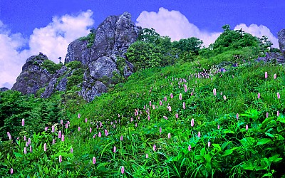 추억의지리산   105   박환윤