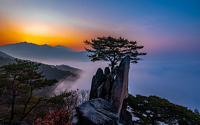 외솔봉
