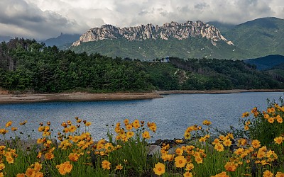 울산암을