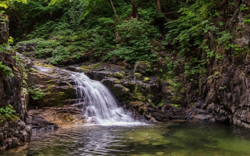 녹음이 짙어가는