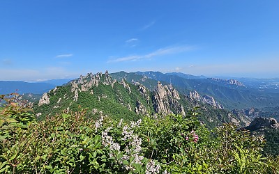 지나온 공룡