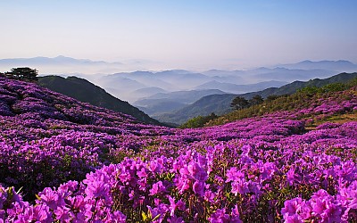좋은 아침
