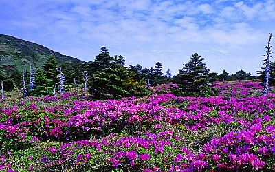 한라산