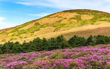 아름다운 한라산~!