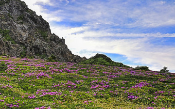 한라산( 내가 본) !