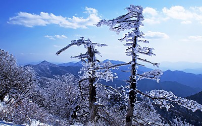 오후풍경