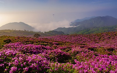 황매산