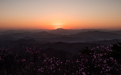 여명