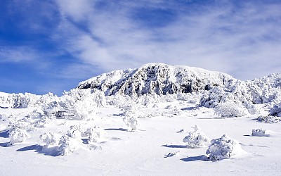 한라산설경