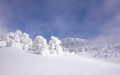 한라산 설경