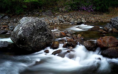지리산의 봄