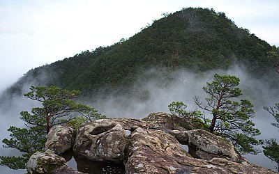 쉰움산의 봄