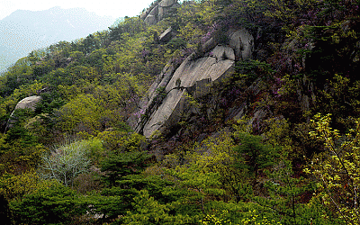 도봉산의 봄 3