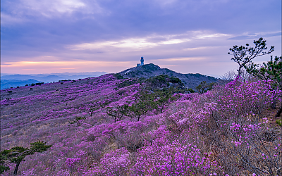 다시찿은 비슬산