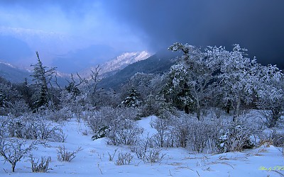 지리산