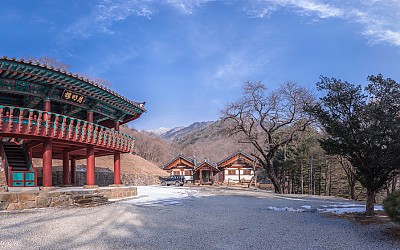 비로사 파노라마