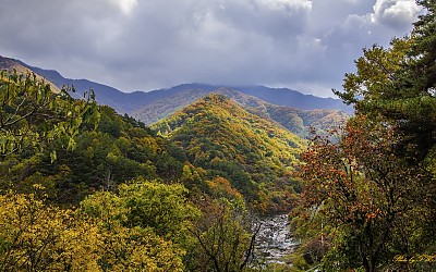 지리산
