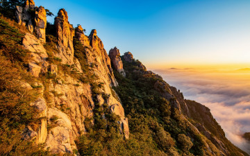 육형제의 아침 맞이