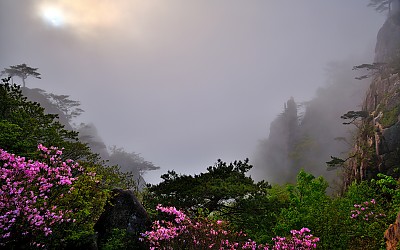 안타까운  대둔산