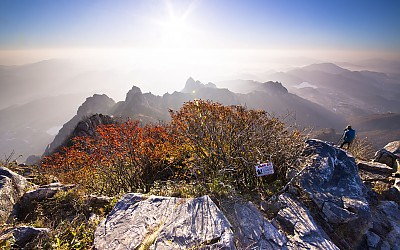 가을을 담는 진사님~
