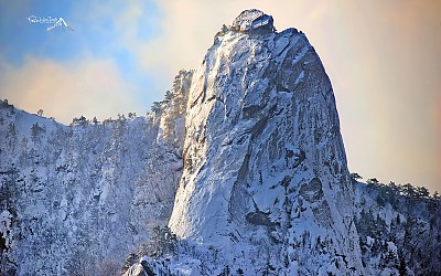 춘설 내리던날```
