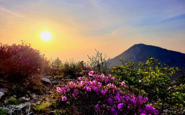 설악 대청의 봄날 아침