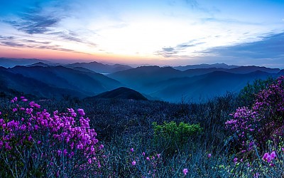 지리산에 여명이 뜰때