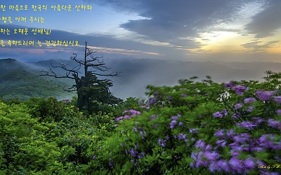 오해문 선배님! 고희를 축하드립니다.