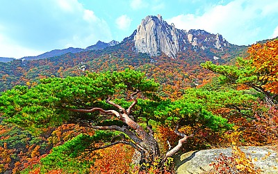 도봉산